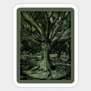 Live Oak Tree Sticker